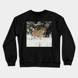 Snow Wolf Crewneck Sweatshirt